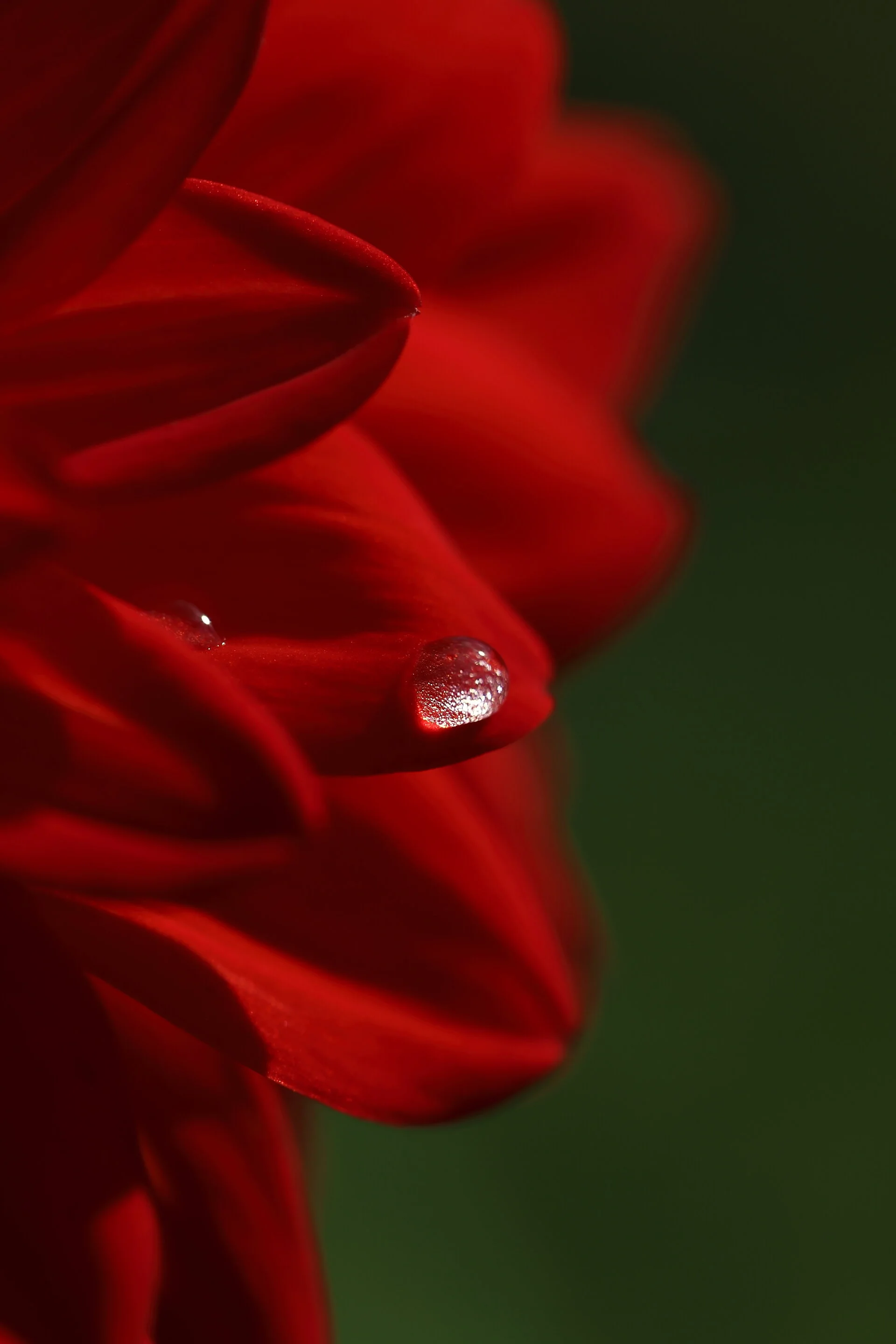 I see a drop