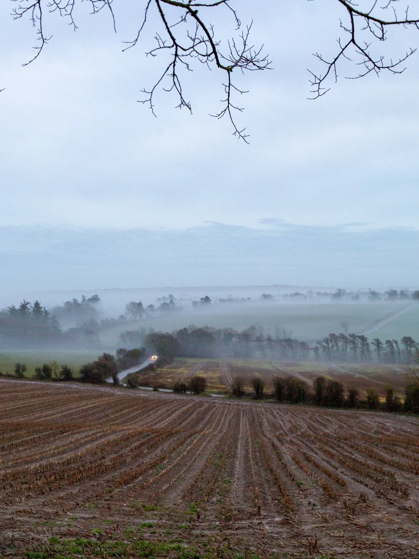 I moved from Belfast to Clonakilty when I was 13. I always thought I wanted to live in West Cork&hellip;until I lived In East Cork. ✨

#eastcork #eastcorkbusiness #eastcorkphotographer
