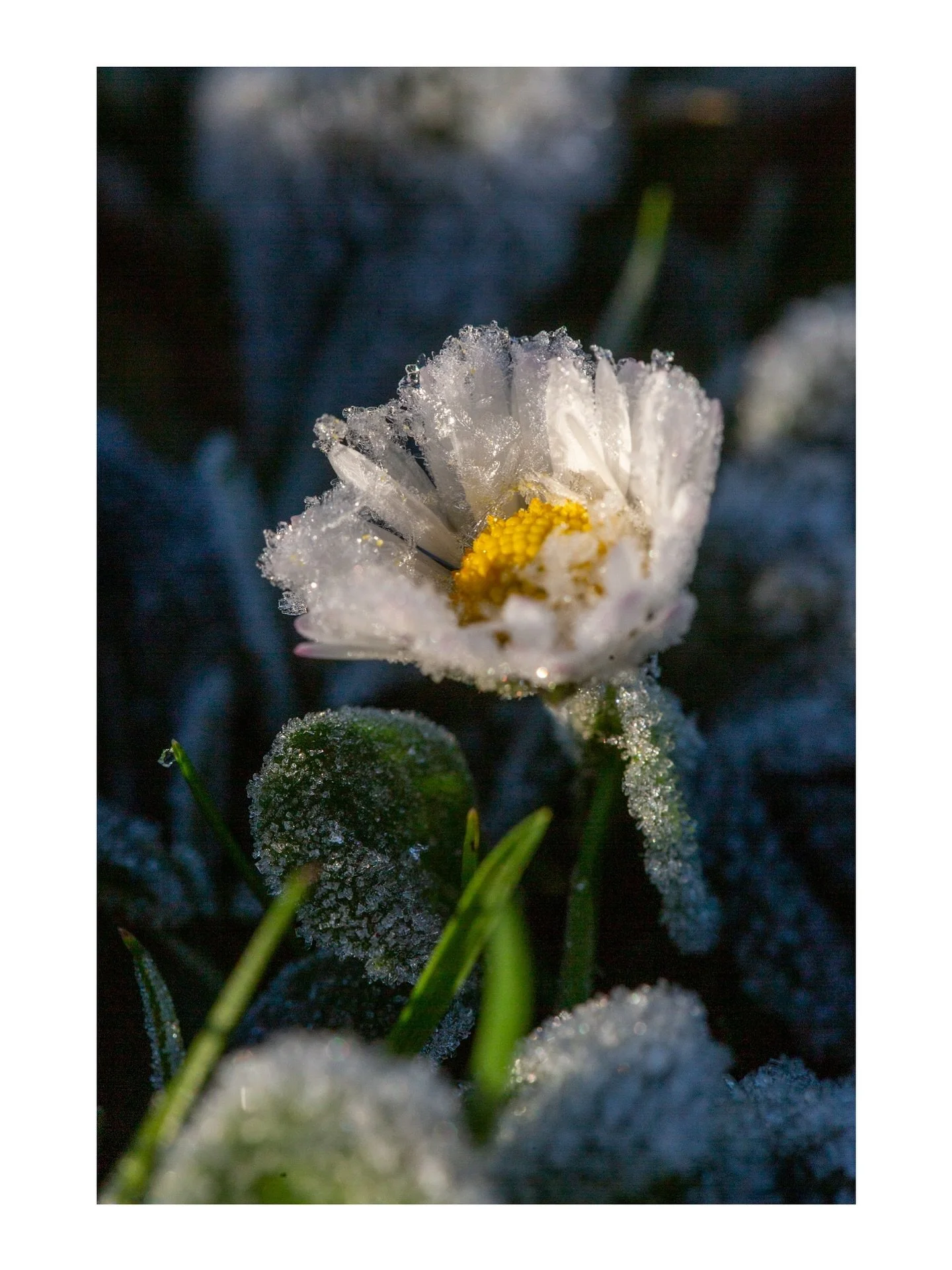 &ldquo;Our deepest fear is not that we are inadequate. Our deepest fear is that we are powerful beyond measure. 
It is our light, not our darkness that most frightens us. 
We ask ourselves, &lsquo;Who am I to be brilliant, gorgeous, talented, fabulou