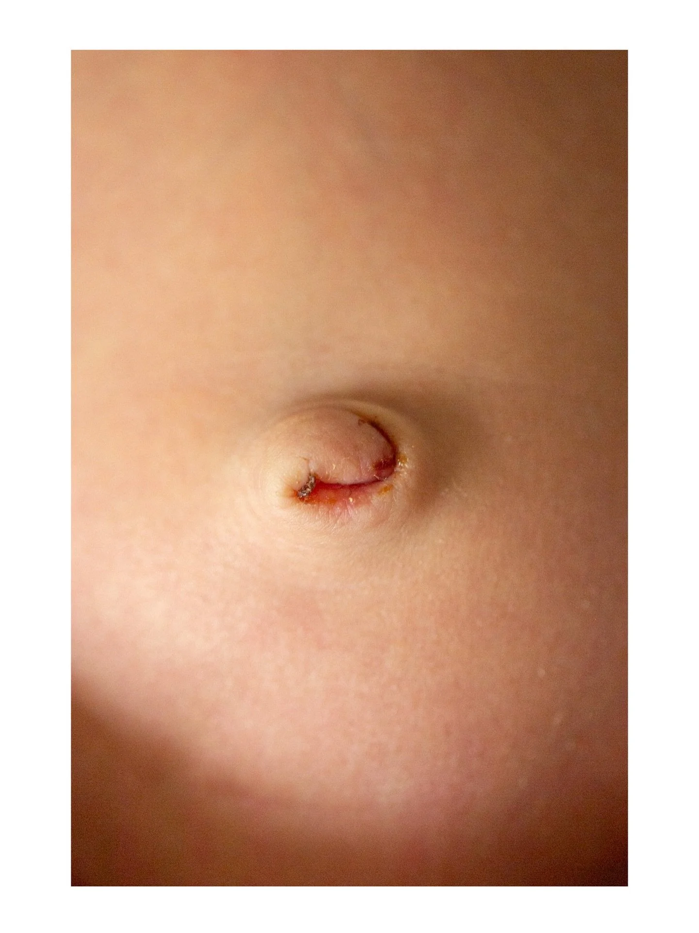 A tiny center, and all that is to come.
Life quietly begins, the world unfolds. ✨