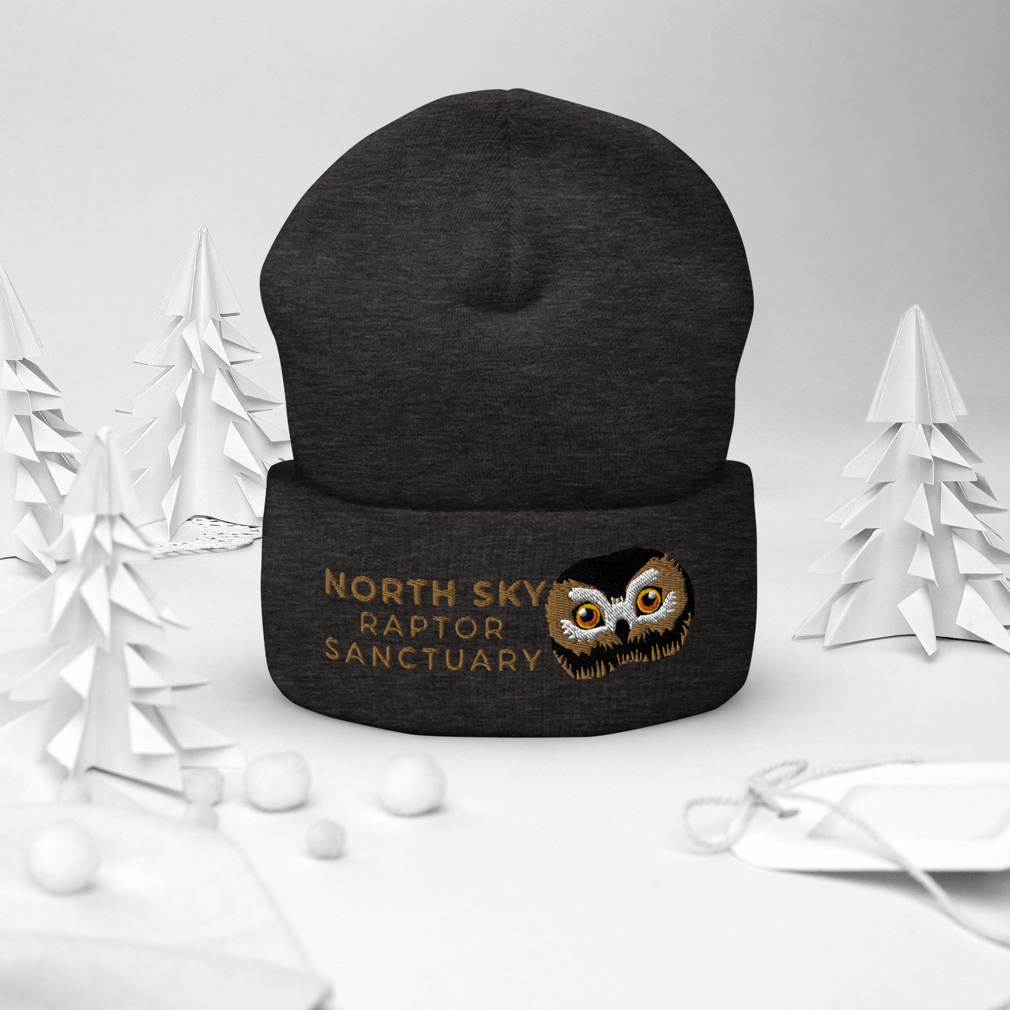 cuffed-beanie-dark-grey-front-2-6377d4fc59e7c.jpg