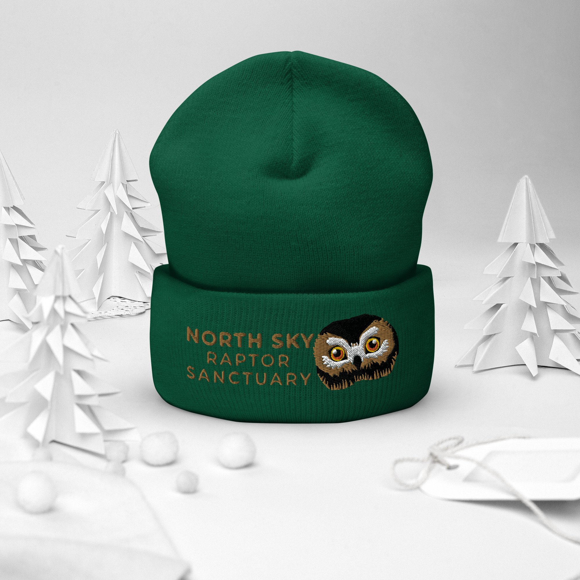 cuffed-beanie-spruce-front-2-6377d4fc59f3d.jpg