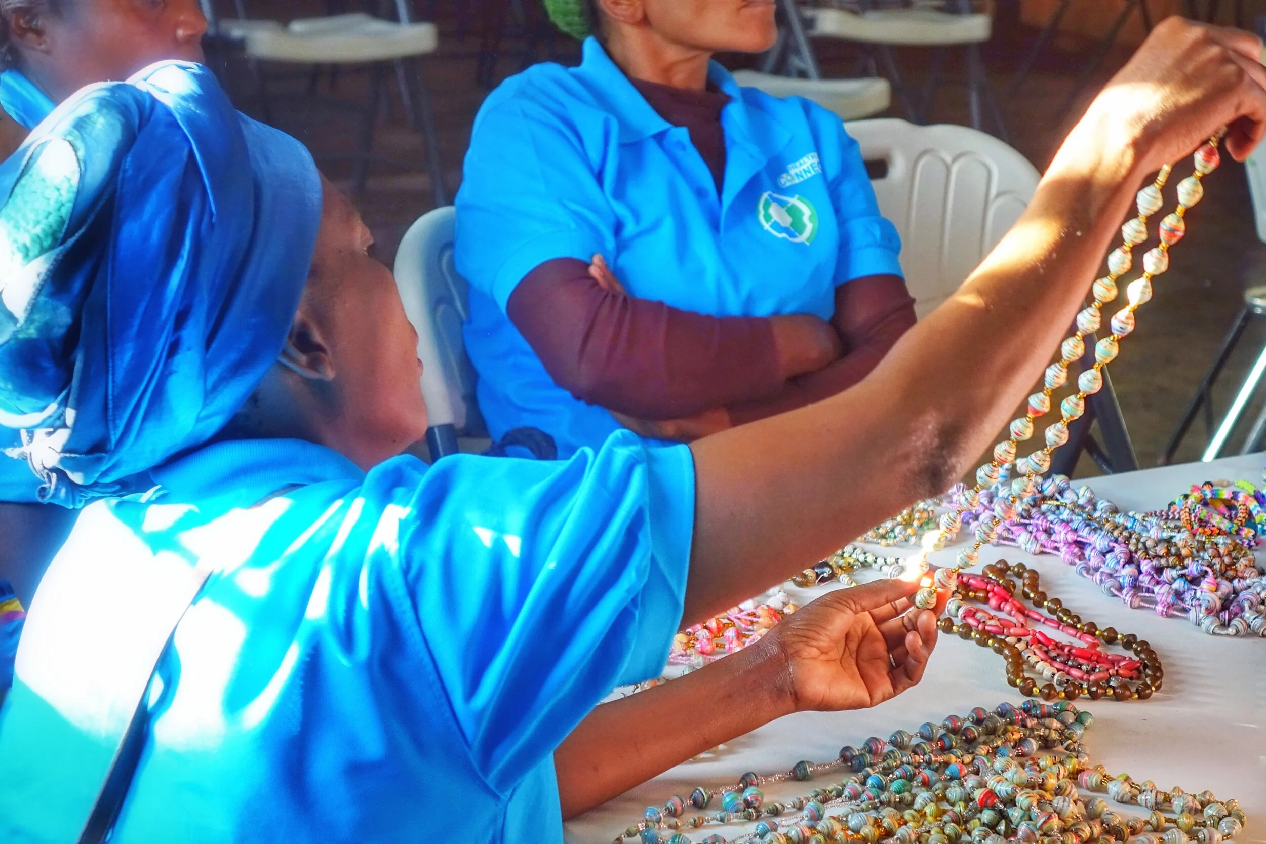 2017 05 Zambia 8840 - Chips_edited.jpeg