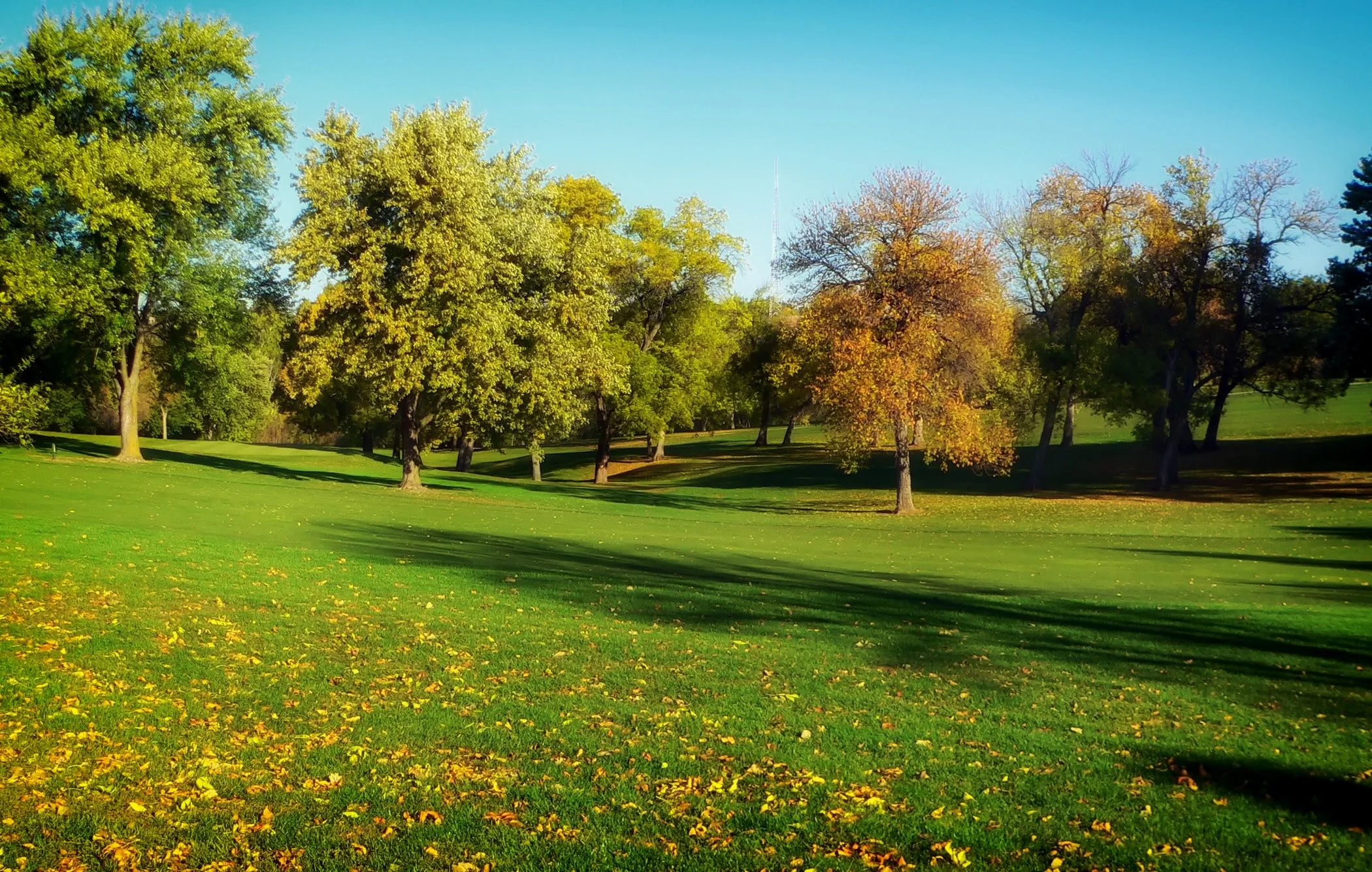 autumn-fall-golf-2336.jpg