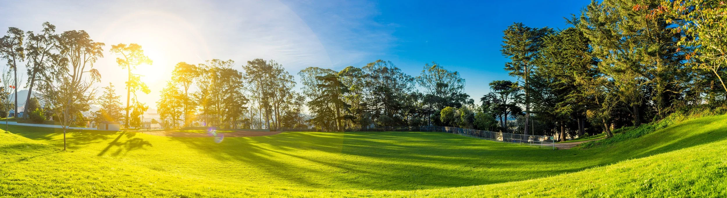 bright-day-environment-356977.jpg