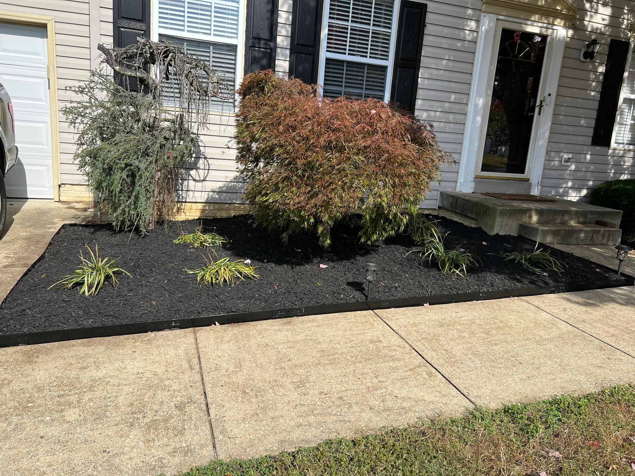 Fall cleanup time. New Metal edging installation of plants and dyed black mulch.