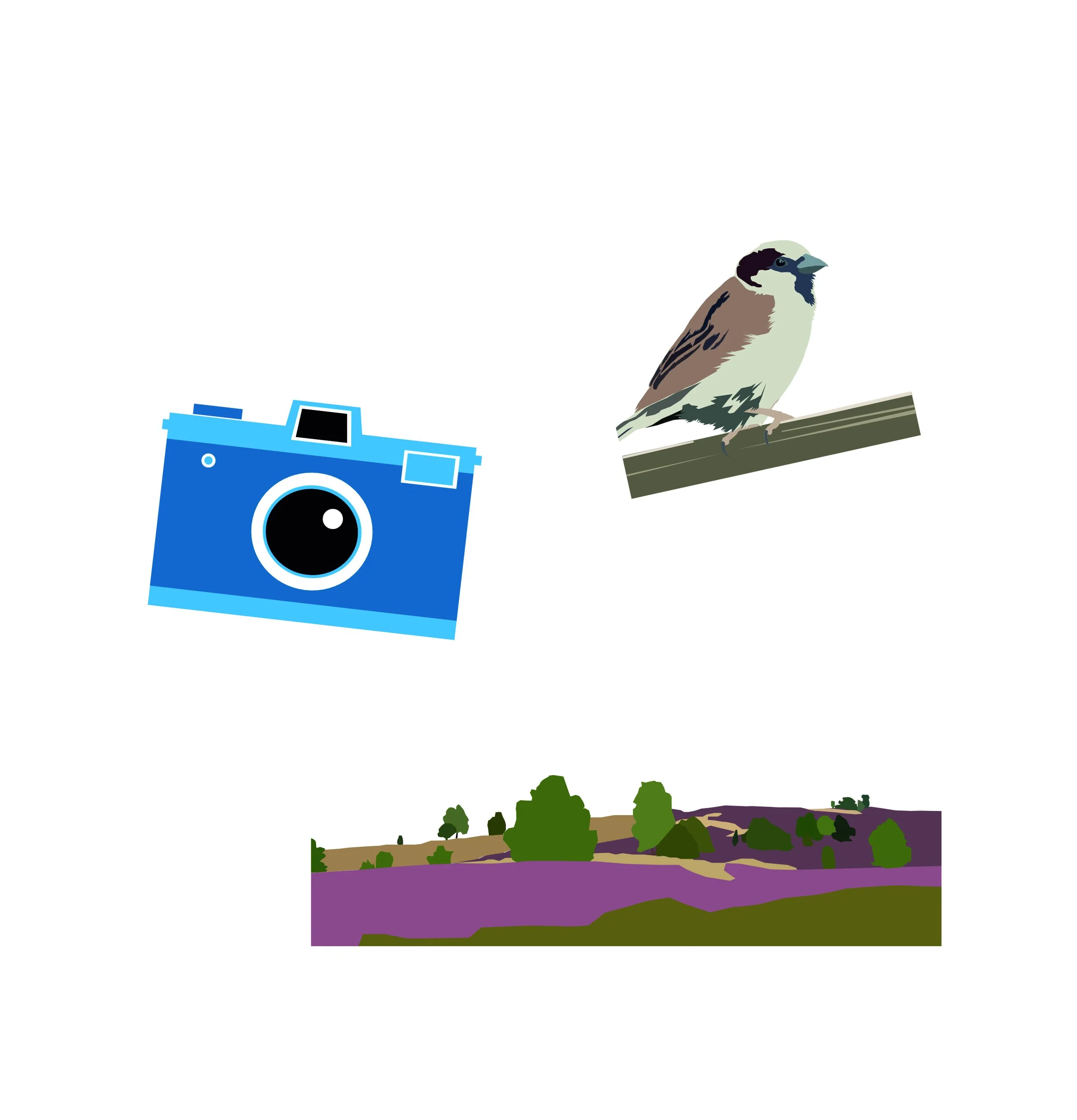 Leserfotos Website 3.jpg