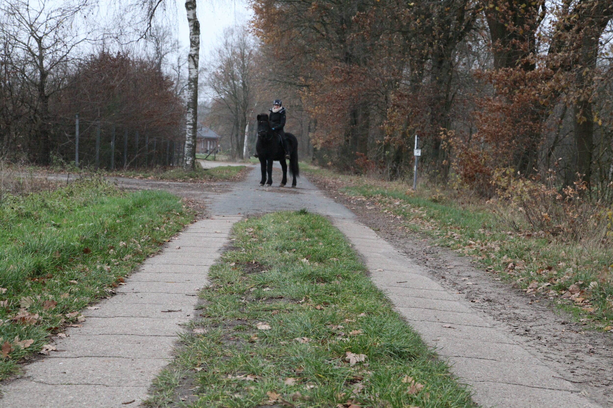 Digitaler Bürgerdialog: Neuenkirchen hat sich auf den Weg gemacht