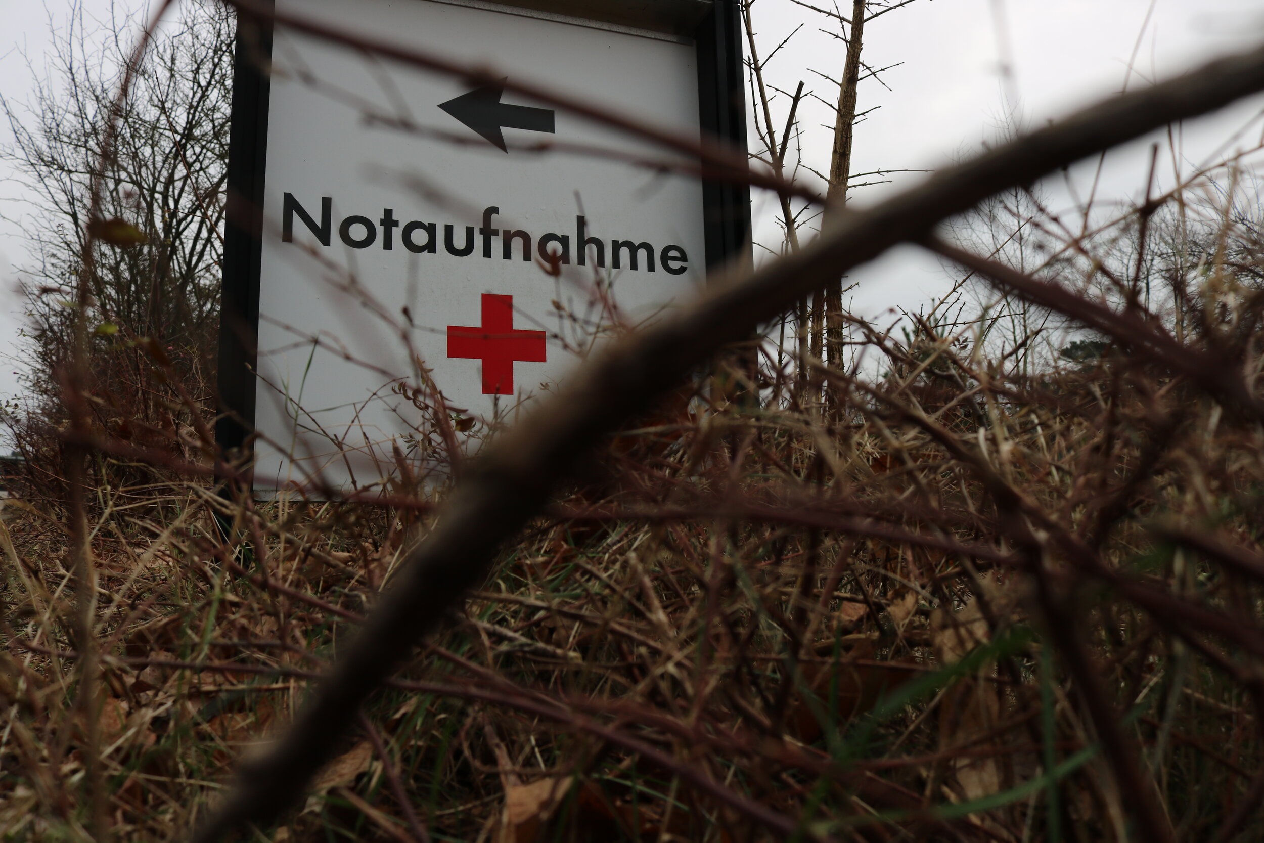 Widerspruch zu Zinkes düsterer Vision