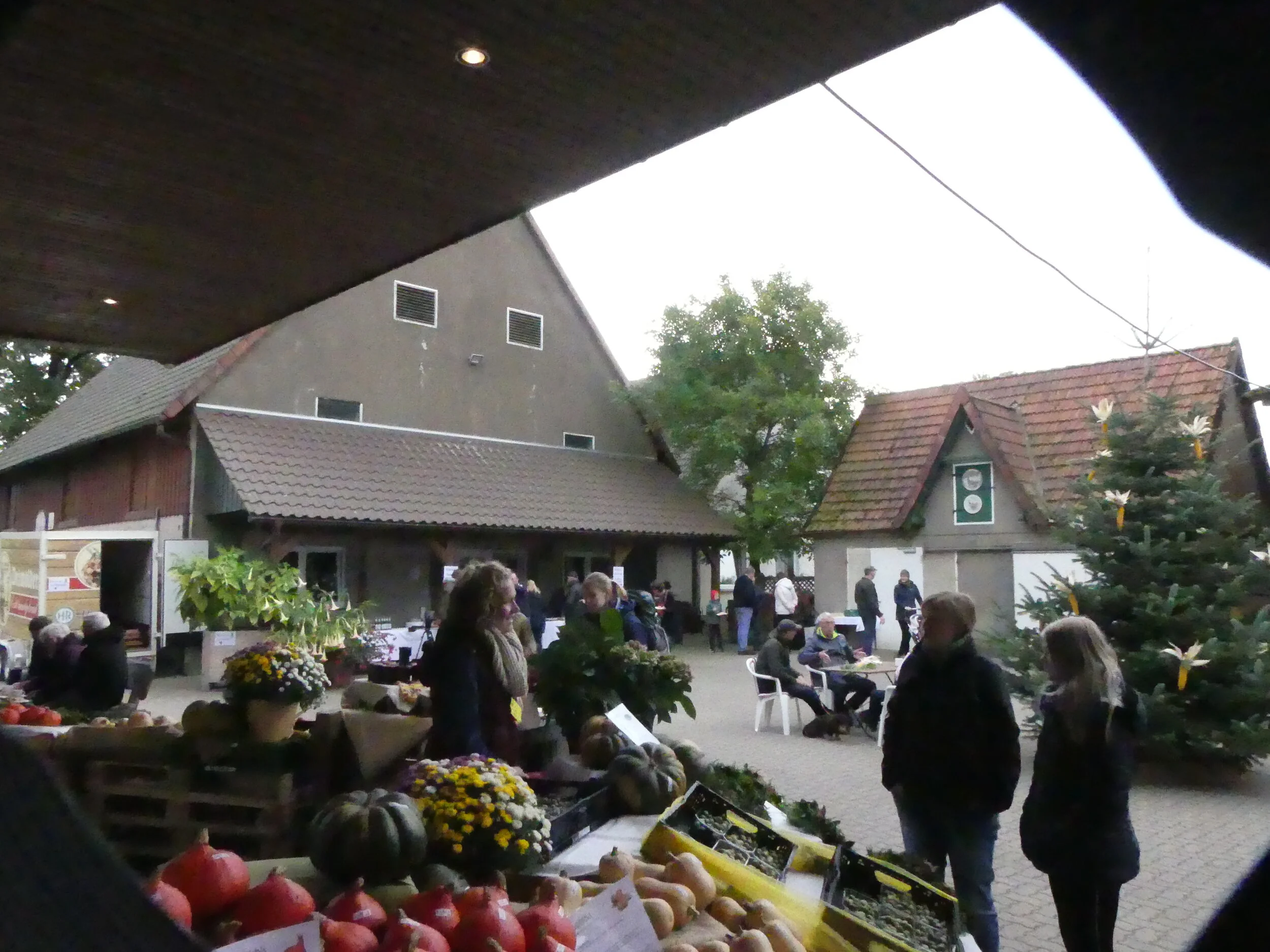 Auf dem Hof Alvermann in Woltem konnten sich die Gäste am Erntedank-Baum für Besonderes aus dem letzten Jahr bedanken. Foto: hh