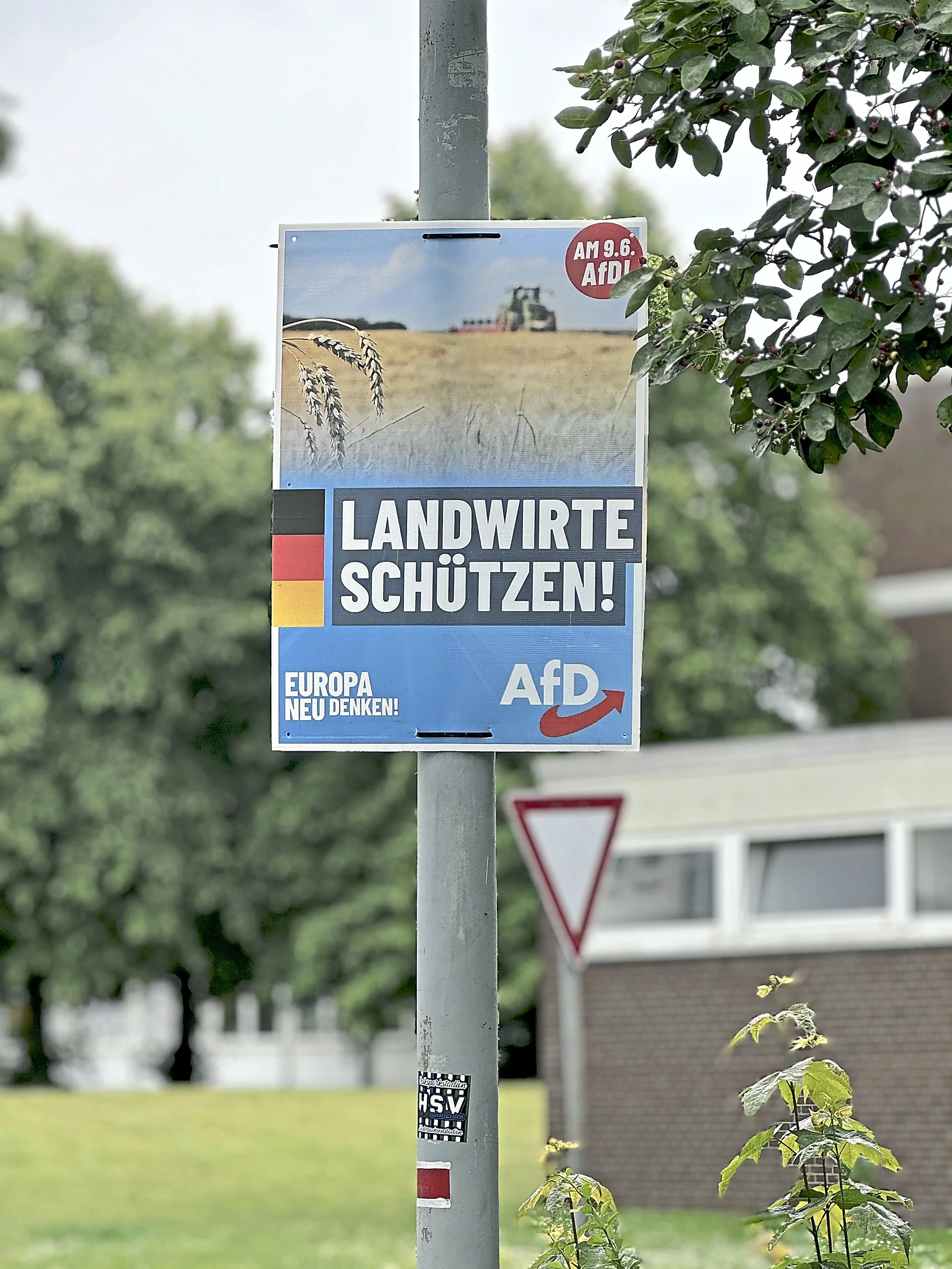 Grube will „die Beweggründe der Wähler verstehen“