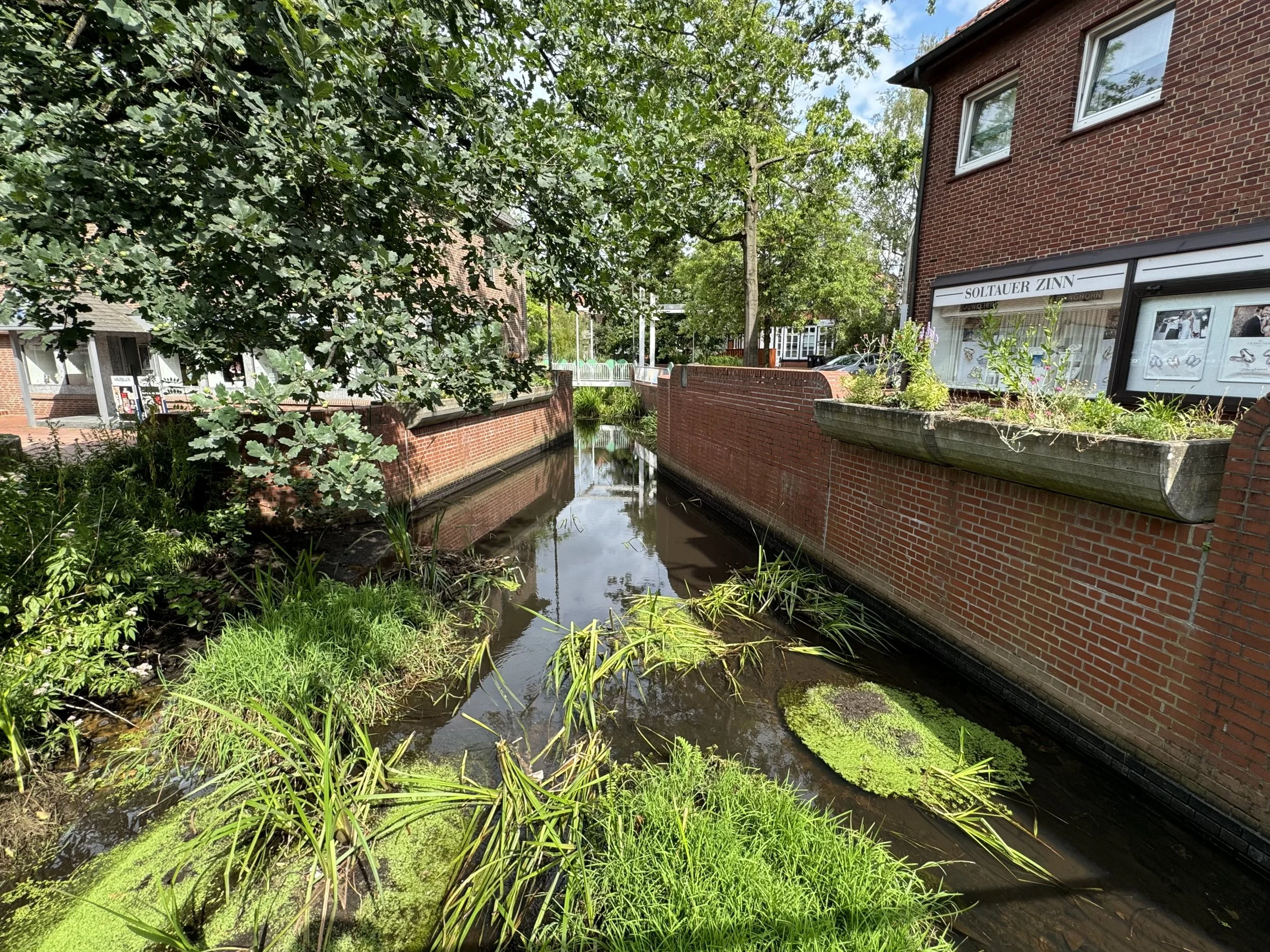 Wie Soltau und Böhme die Stadt kühlen könnten