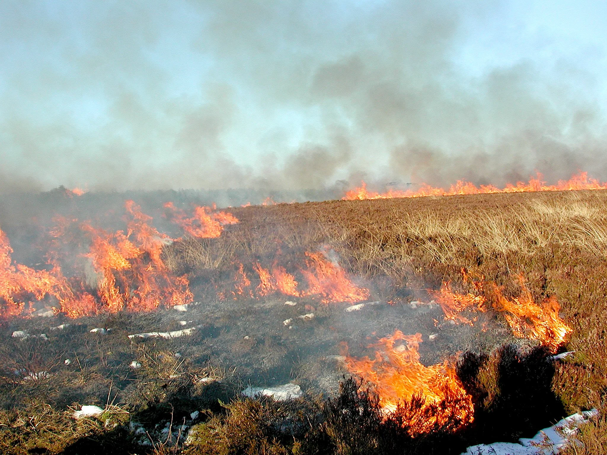 Schonender als es scheint