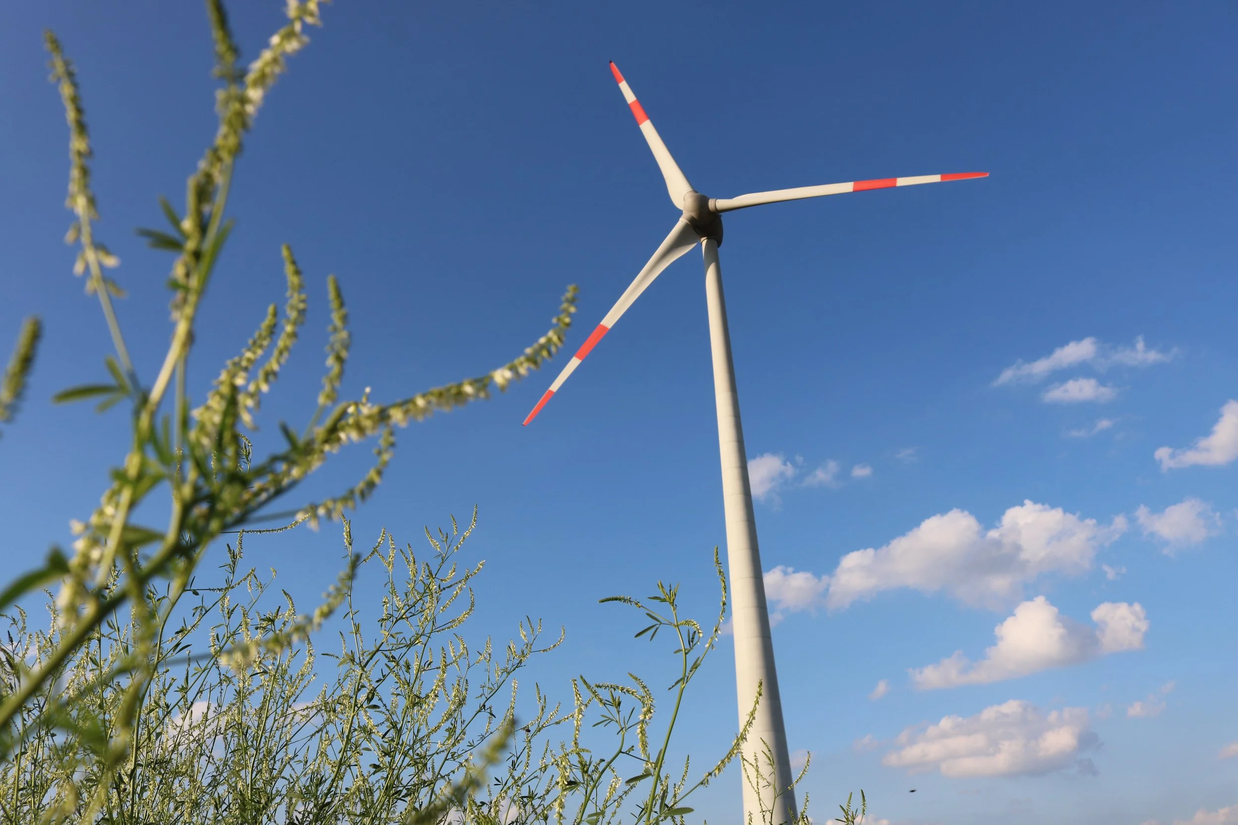 Windkraft: Mit 20 Standorten Ausbauziel 2027 übererfüllt