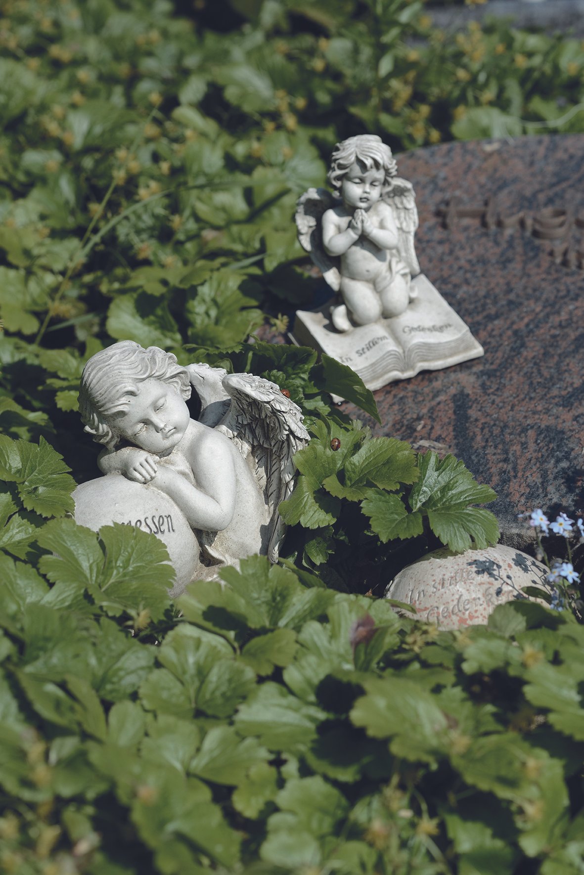 Bestattungen in Soltau werden deutlich teurer