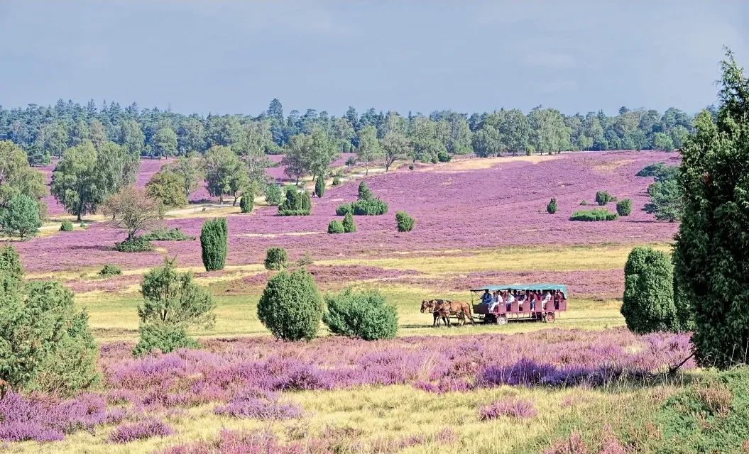 Tourismus bleibt starker Wirtschaftsmotor