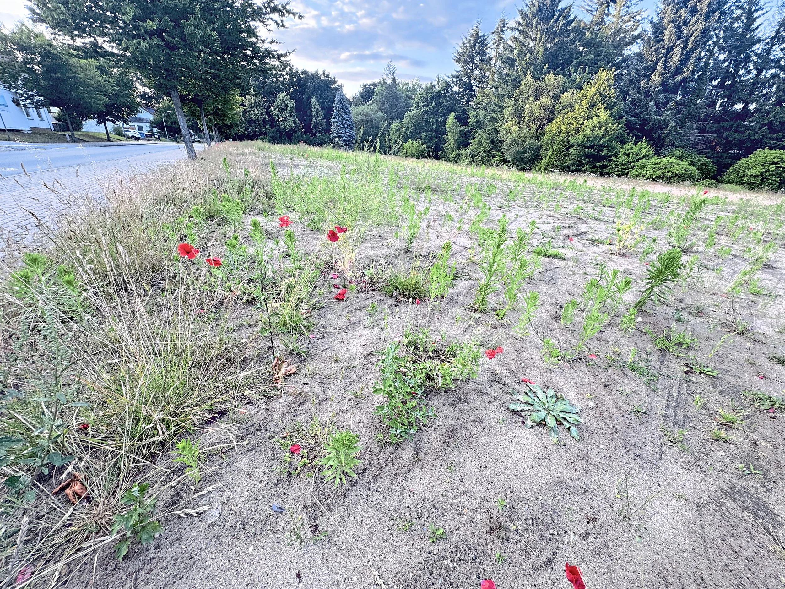 Stillstand beim Bauprojekt Klappgarten