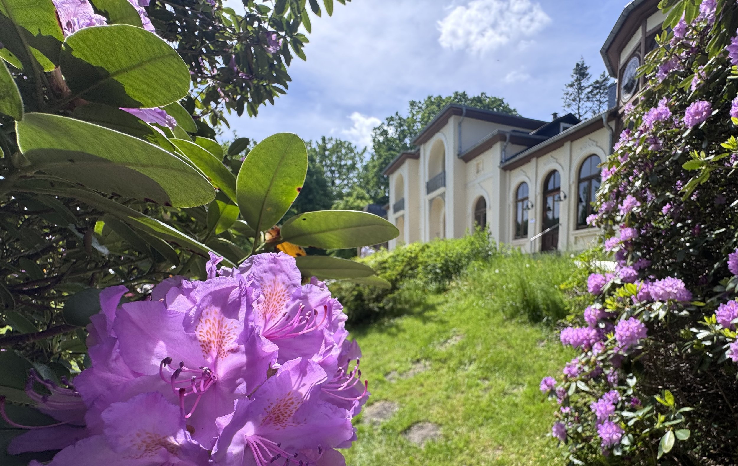 St. Johannis kommt Breidings Garten beim Bund zuvor