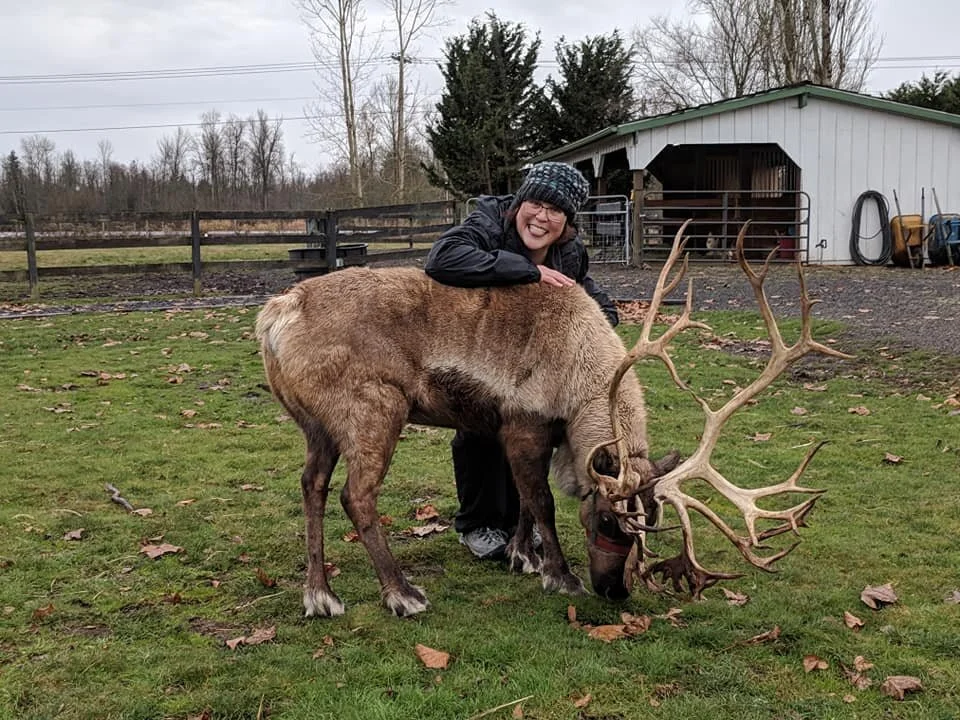 Hug a reindeer.jpg