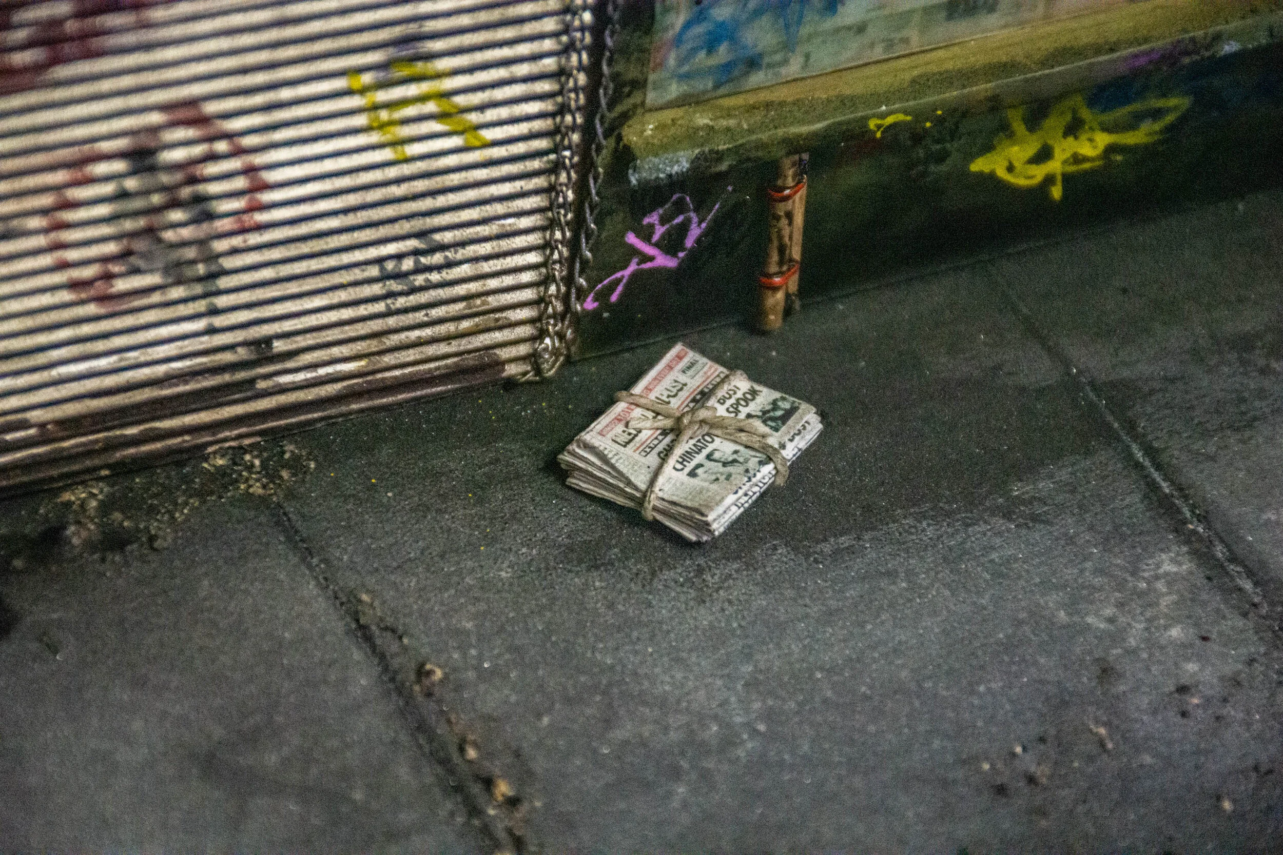 DSC_0256.jpg
