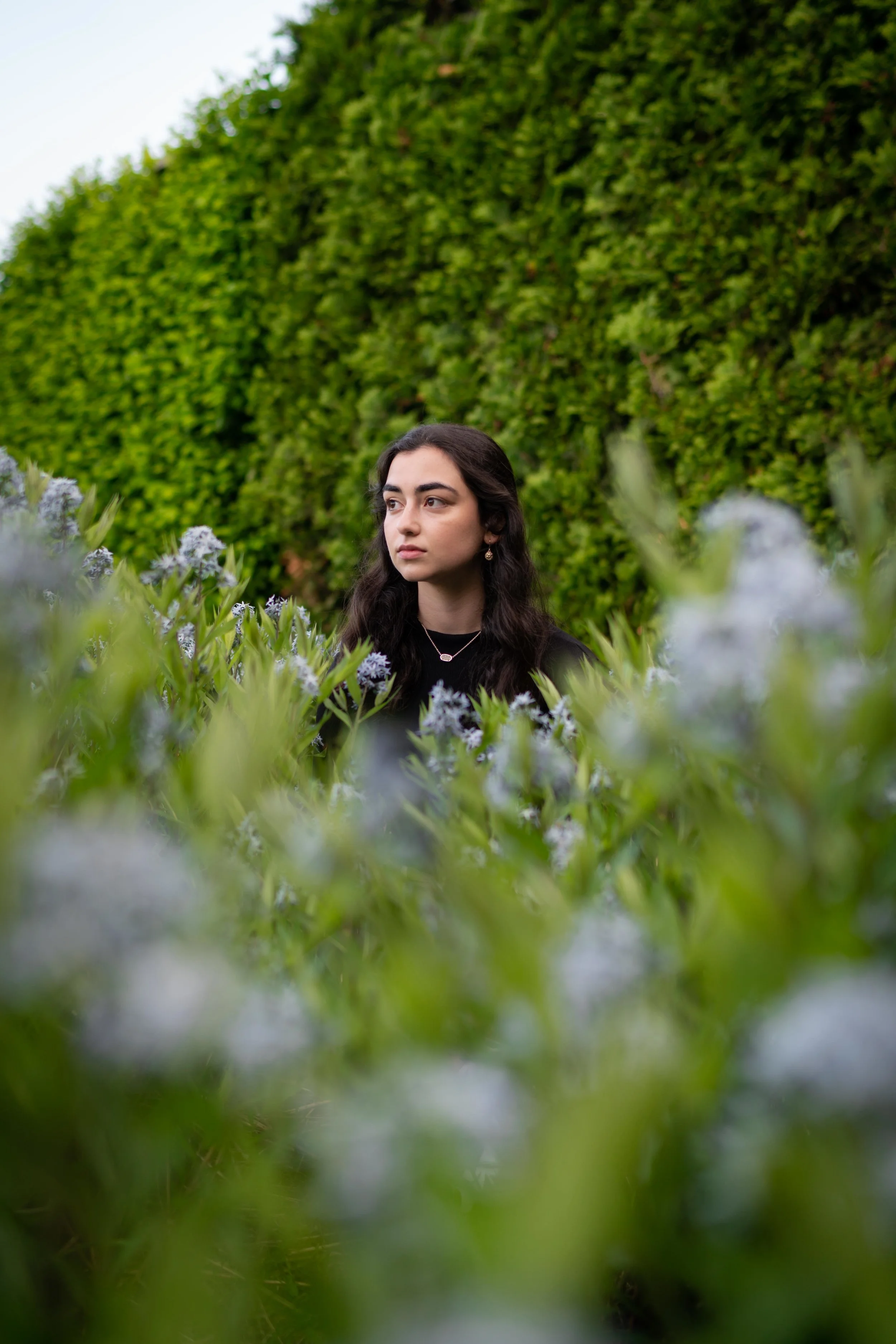 Isabella-2.jpg