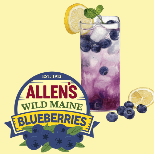 Wild Maine Summer Blueberry Lemonade