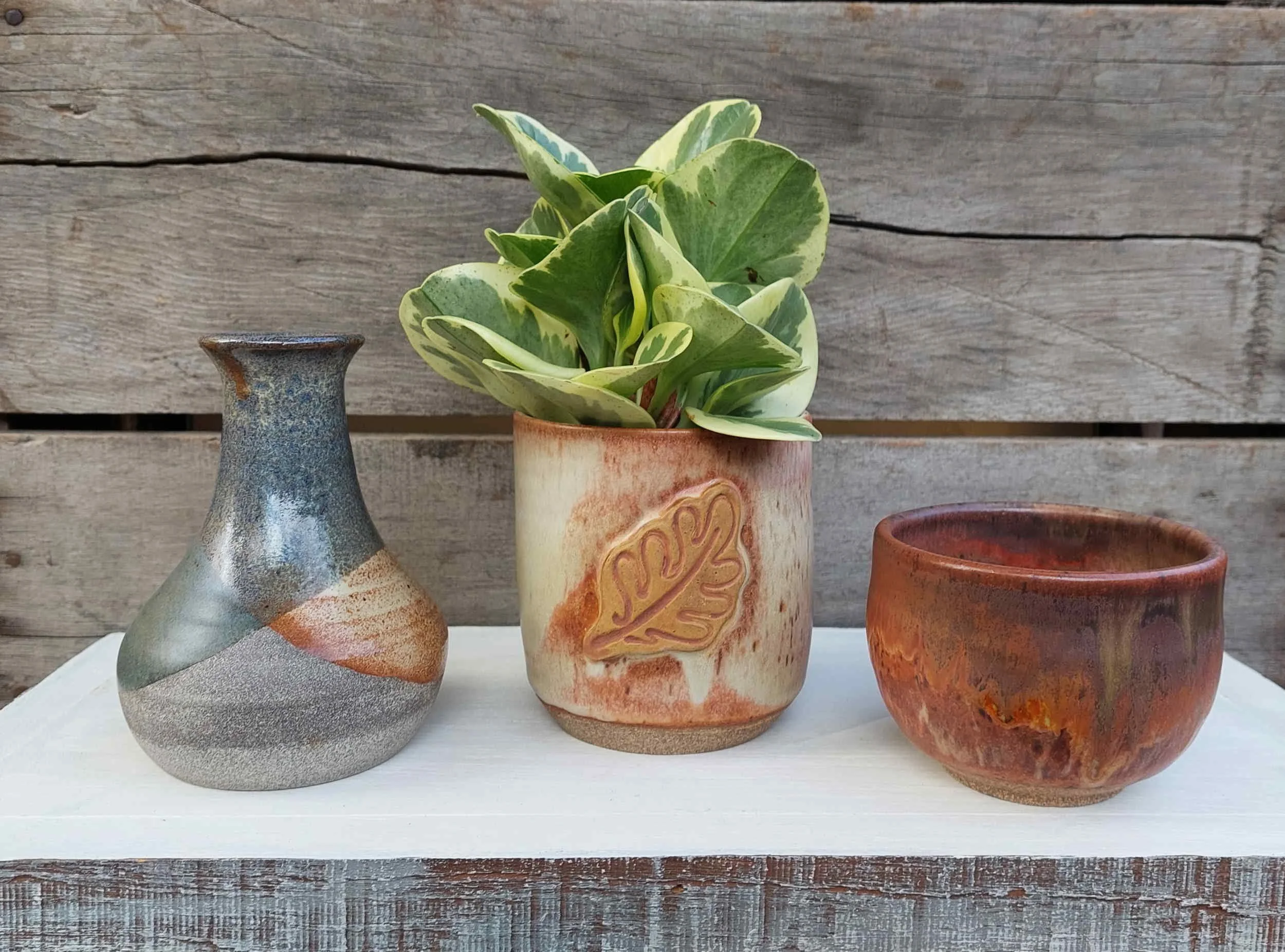 Eunice Oldejans-Bakker