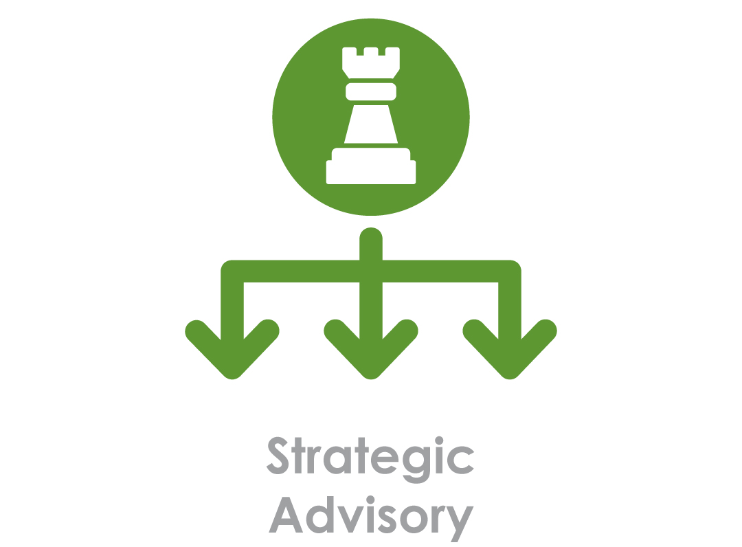 Strategic Advisory