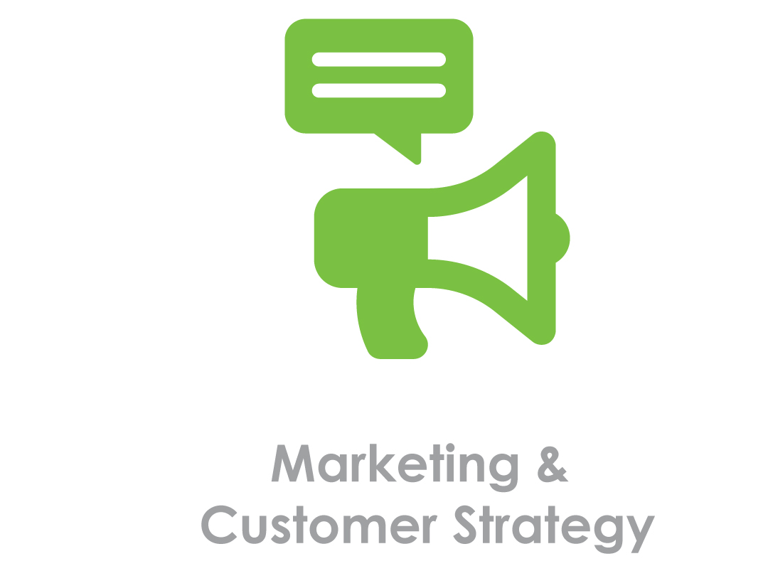 Marketing &amp; Customer Strategy