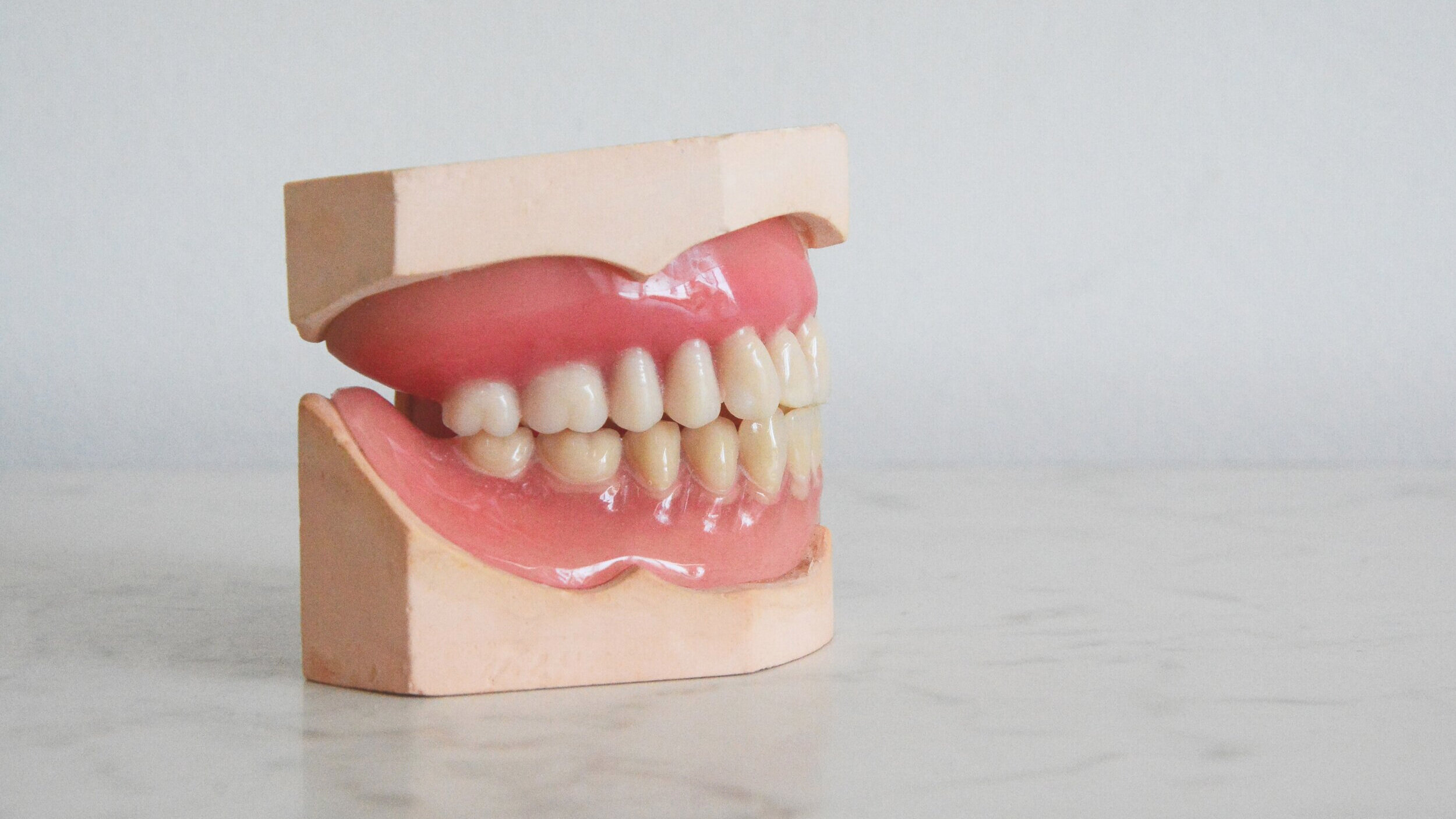 Los dientes son huesos? — Odontologic