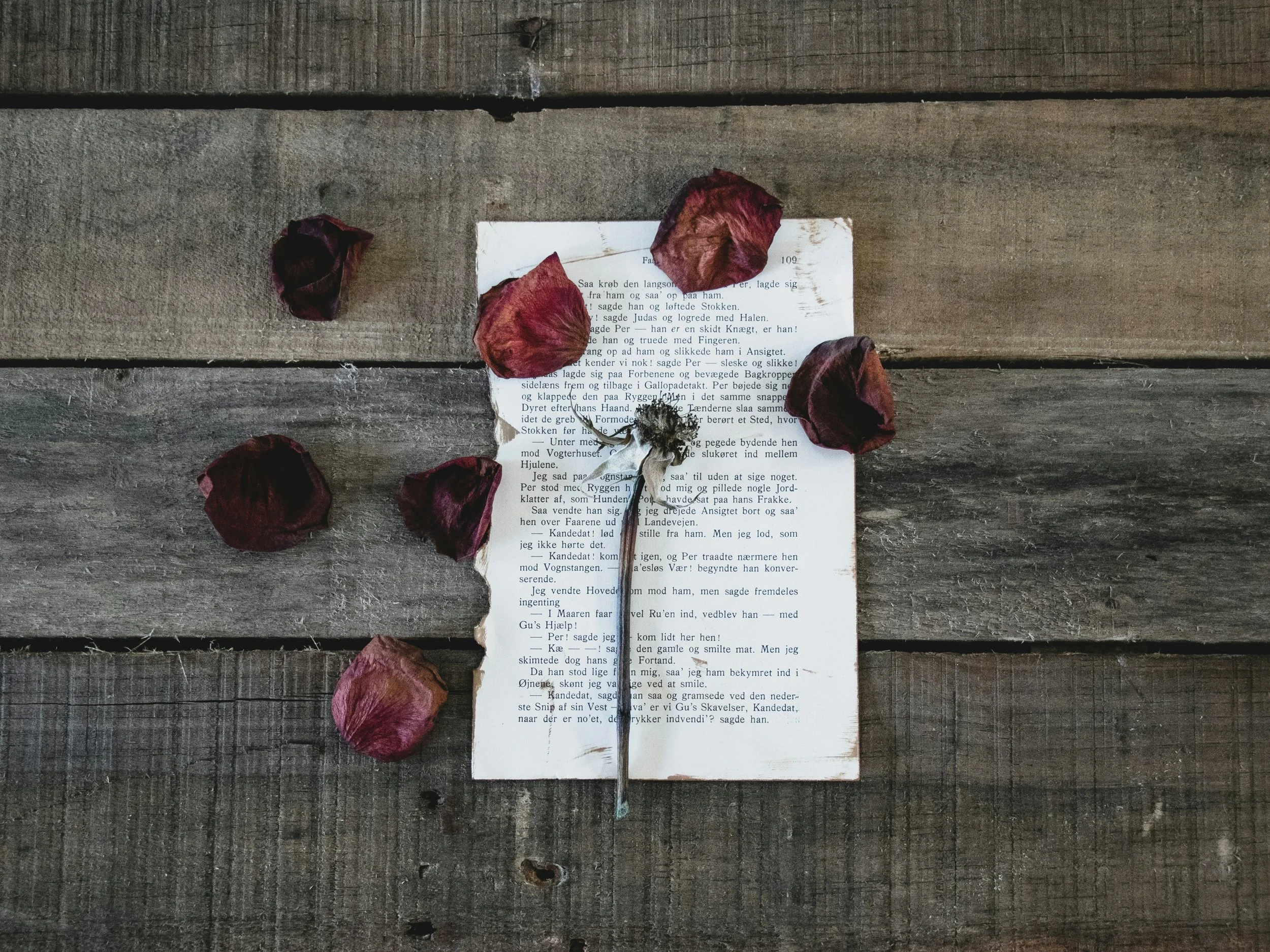 Writing to find my voice.