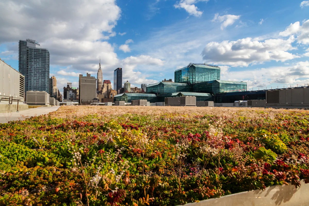 javits-center_green-roof_ds.jpg