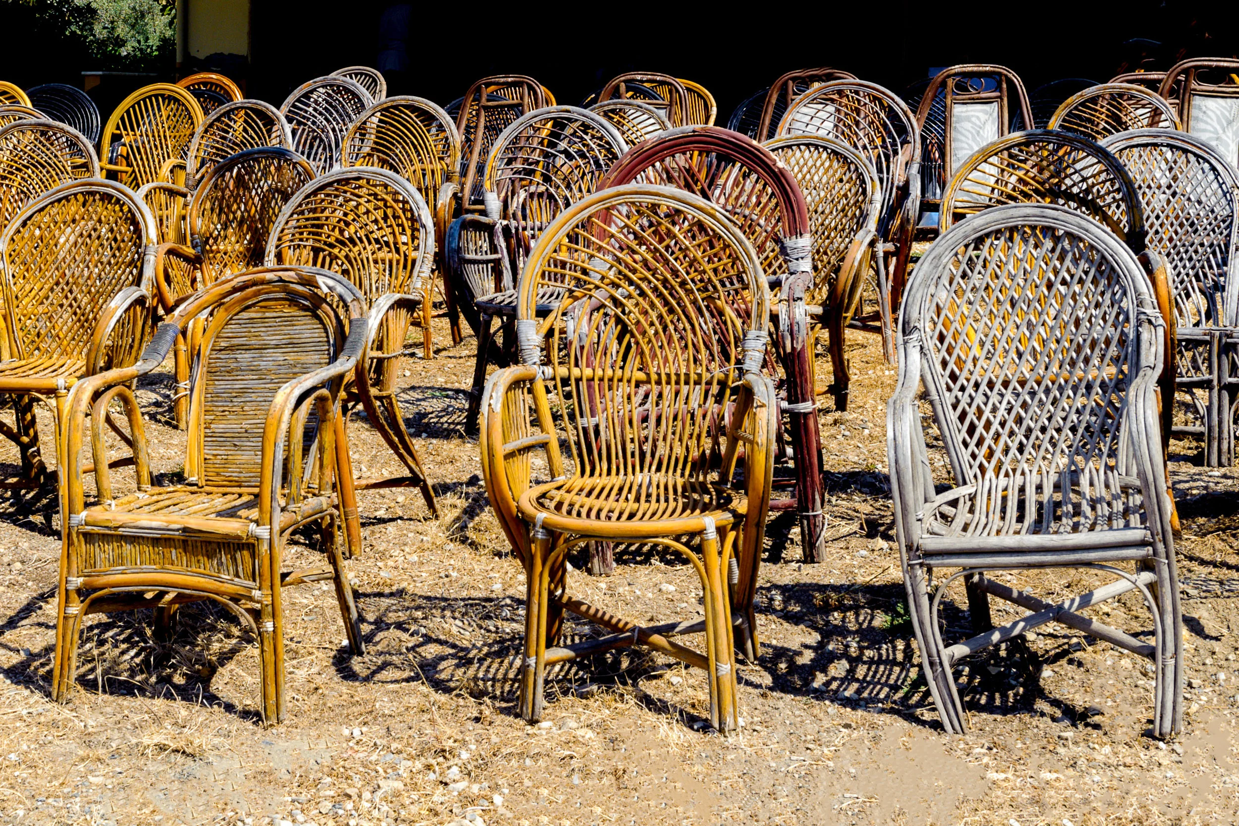 AdobeStock_235528460.jpeg