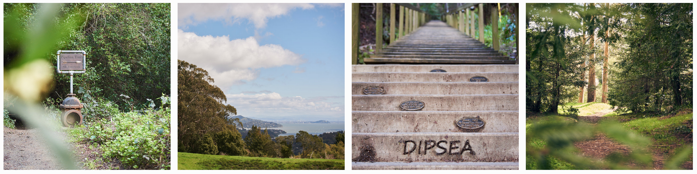 L to R: the Pipeline Trailhead, Edgewood Park open space, the Dipsea stairs, Edgewood Park trailhead