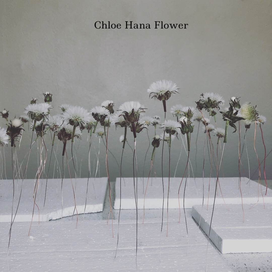 Chloe Hana Flower