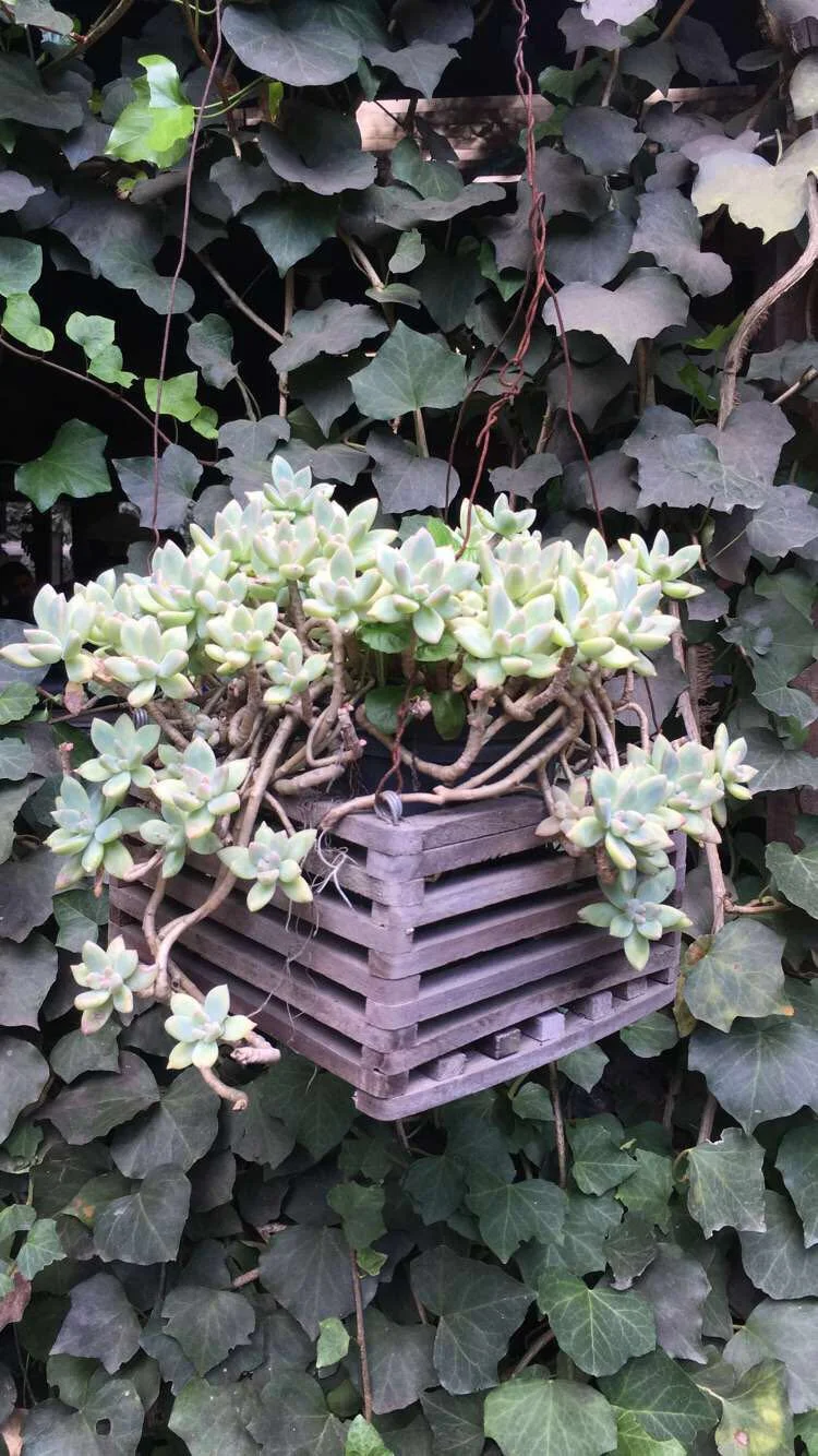 Change is good ... but hard