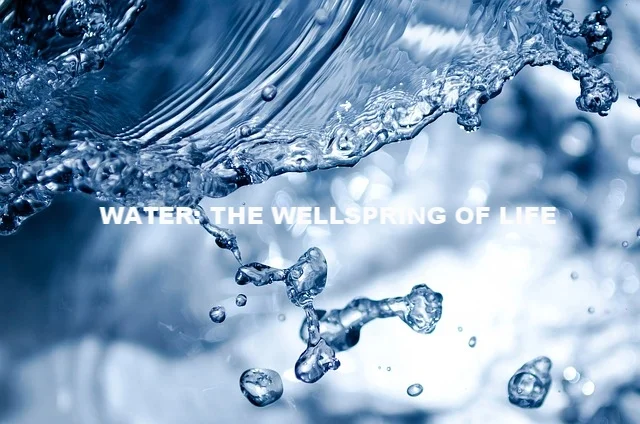 splashing-165192_640.jpg