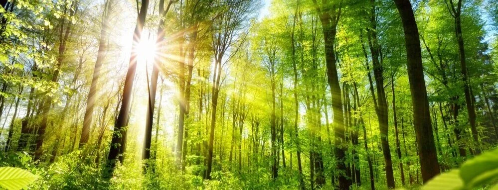 shutterstock_393414121_Effective+Environmentalism.jpg
