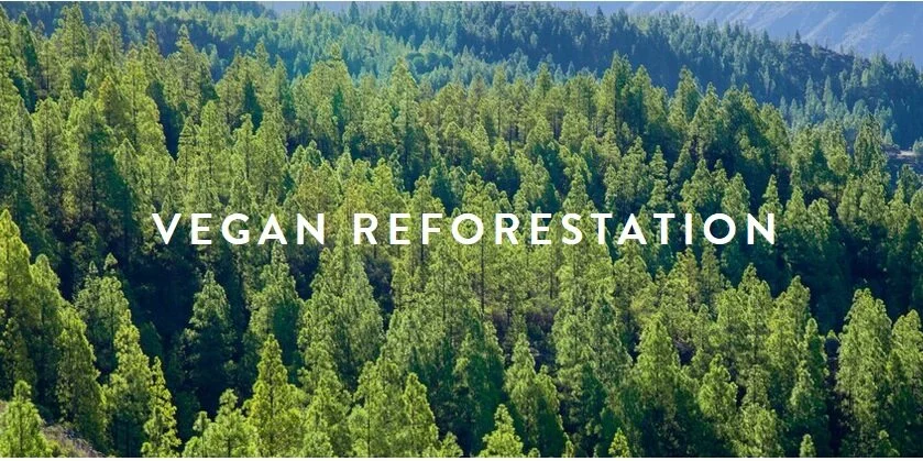 Vegan_Reforestation_Block_Image.jpg