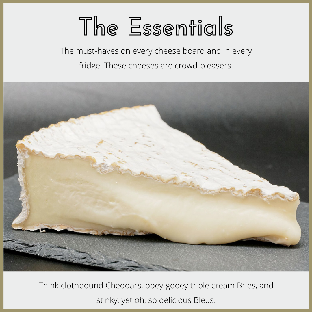 cheese tasting of essential cheeses