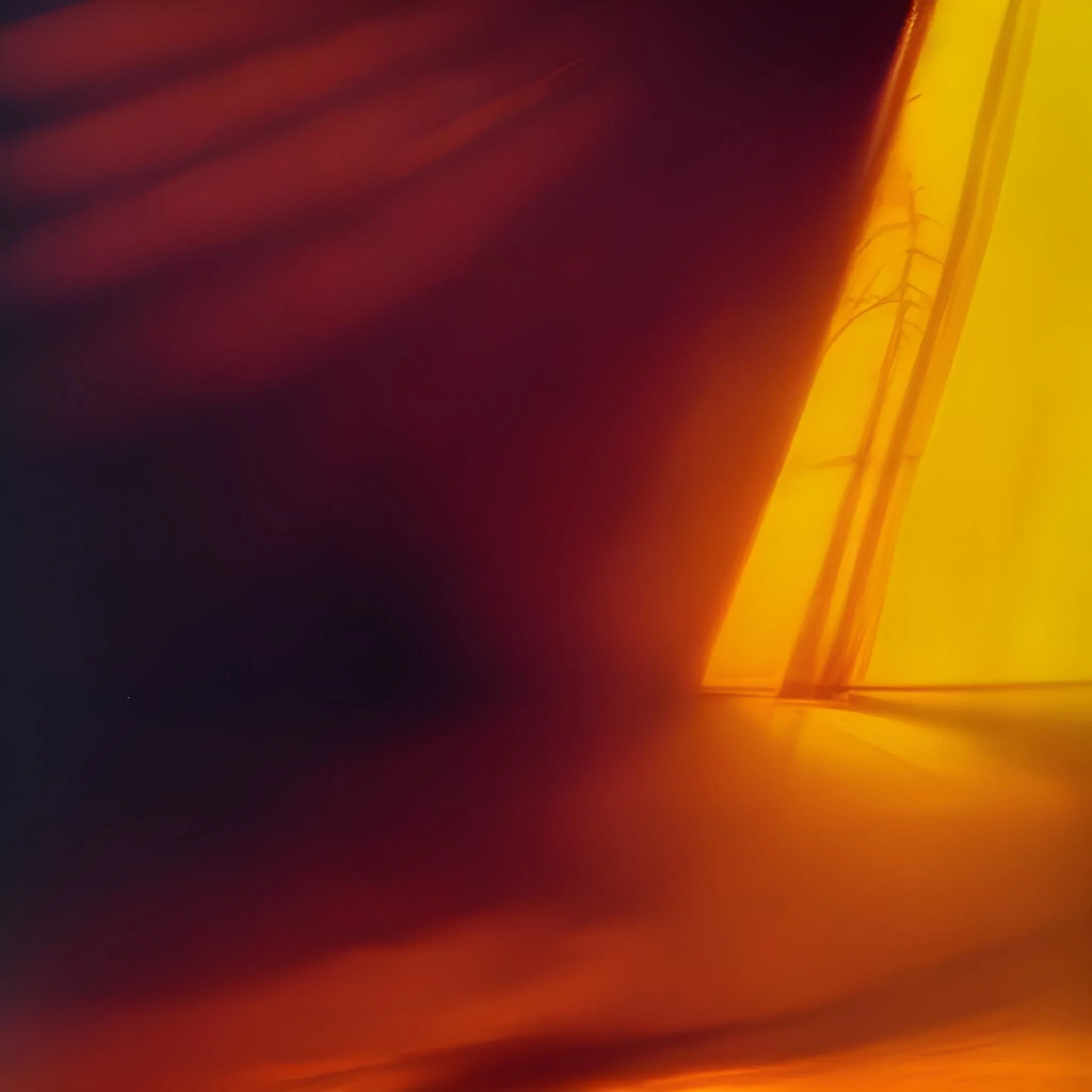 At His Desk In The Past by Franz Wright - Coming 2024