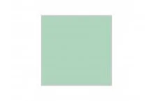 MR HOBBY 10ML AQUEOUS COLOUR PALE GREEN # 41