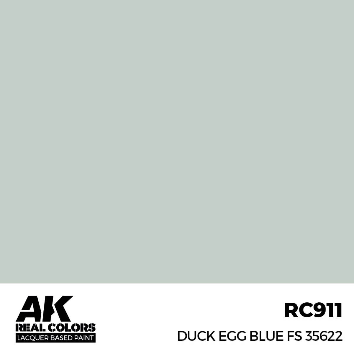 RC911_01_color.jpg