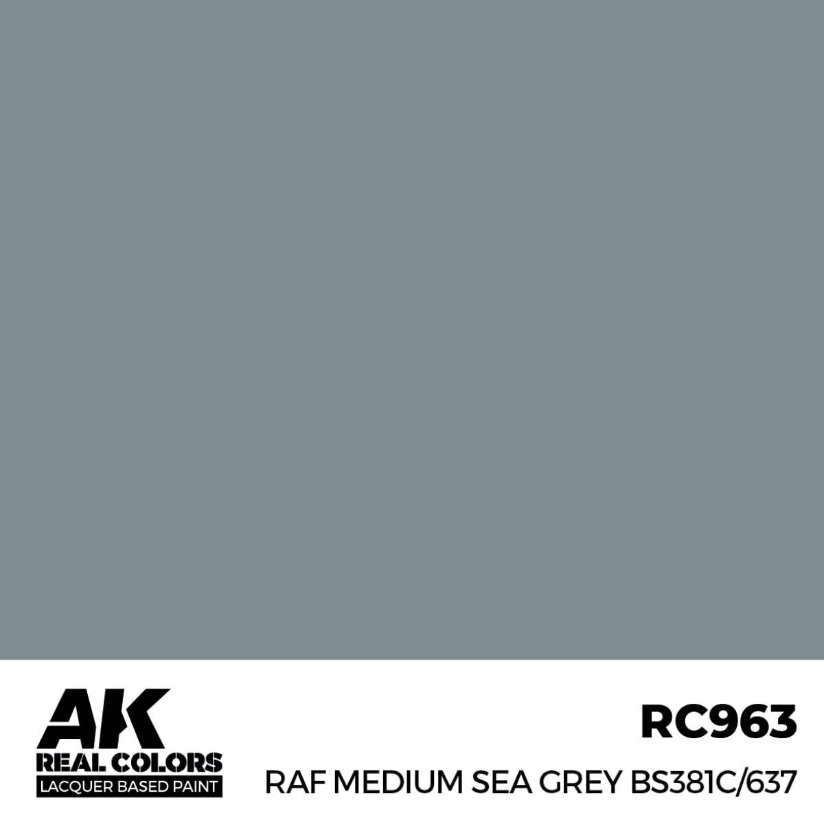 RC963_01_color.jpg