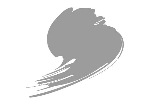 HTK-A334 Signal Grey (RAL 7004, FS26295)