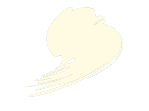 HTK-A043 Insignia White (FS37875, ANA 601)