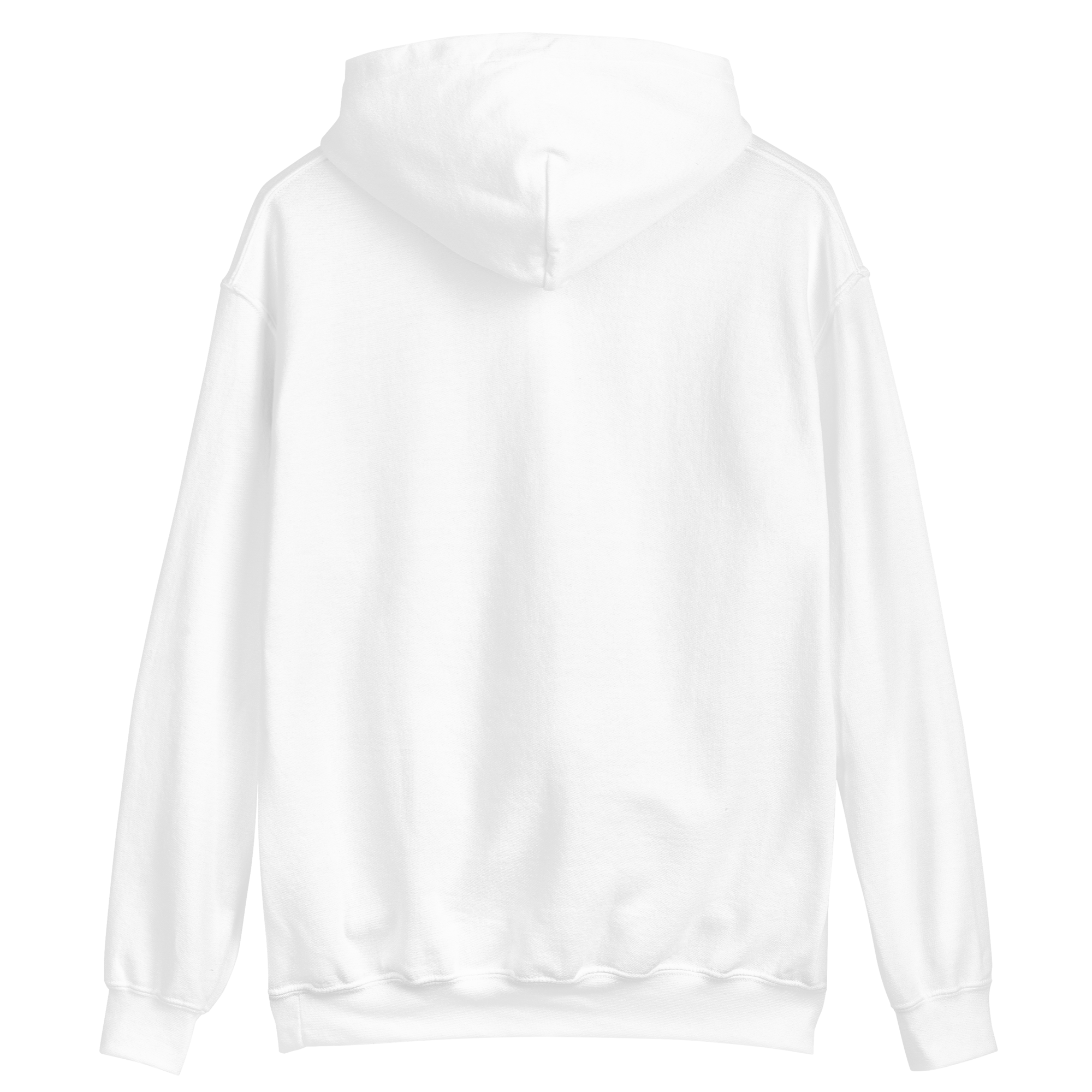 unisex-heavy-blend-hoodie-white-back-698b68679aaec.png