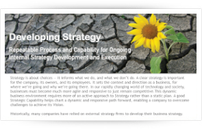 DevlopingStrategyIconV3.png