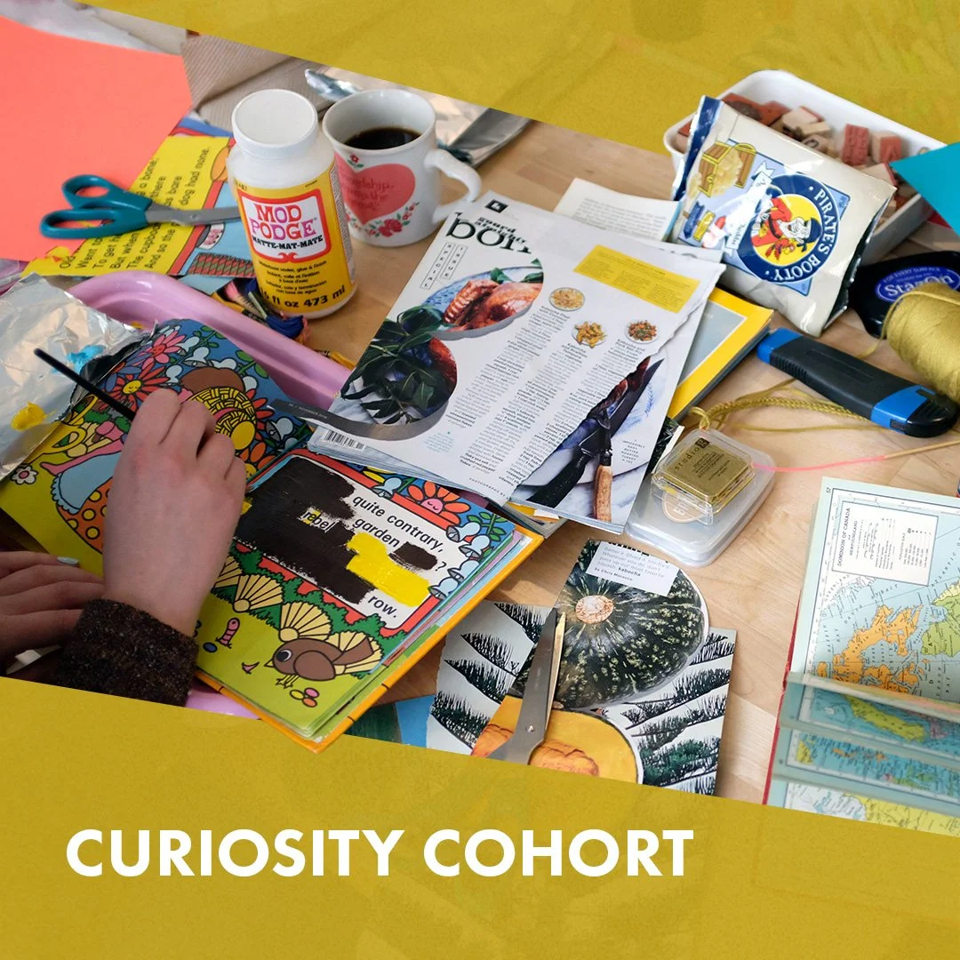 Curiosity Cohort