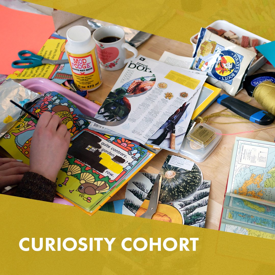 Curiosity Cohort